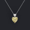 heart necklace