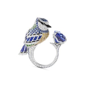 bird ring